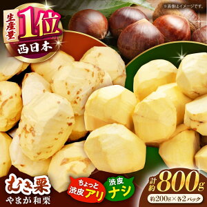 yӂ邳Ɣ[Łzys\z ya炠EȂy߂IzHה ܂aI 嗱ނI v800giat200g×2pcEaȂ200g×2pcjyÐ_z[ZES003]
