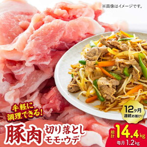 yӂ邳Ɣ[Łzy12ցzؓ؂藎ƂiEEfʎwȂj1.2kgi300g×4pcjygz[ZEW086] ؓ   Yn Y Ⓚ y ȒP  R  pbN  Ef 