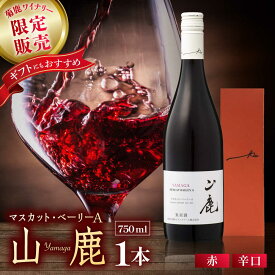 【ふるさと納税】マスカット・ベーリーA「山鹿」　赤ワイン・辛口　750ml ギフト箱入り 【菊鹿ワイナリー】[ZFB001] ワイン わいん 辛口 辛口ワイン あかワイン 赤 国産ワイン 酒 お酒 ギフト プレゼント 贈答 国産 熊本県 山鹿市