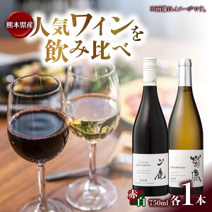 yӂ邳Ɣ[ŁzeVhl&R}XJbgx[[A2024 C2{Zbg ϔtyeCi[z[ZFB006]