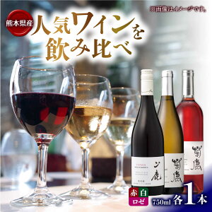 yӂ邳Ɣ[ŁzeVhl&eJxlN[2023&R}XJbgx[[A2024 C3{Zbg ϔtyeCi[z[ZFB007]