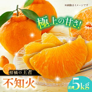 yӂ邳Ɣ[Łzys\zsm 5kg k  ݂ t[c y{t[cЁz [ZFJ002]