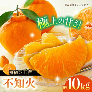 yӂ邳Ɣ[Łzys\zsm 10kg k  ݂ t[c y{t[cЁz [ZFJ003]