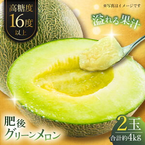 yӂ邳Ɣ[Łzys\zO[ 4kg(2ʓ)  O[ t[c F{Y y{t[cЁz [ZFJ004]