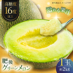 yӂ邳Ɣ[Łzys\zO[ 2kg(1ʓ)  O[ t[c F{Y y{t[cЁz [ZFJ005]