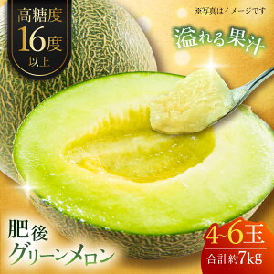 yӂ邳Ɣ[Łzys\zO[ 7kg(4`6ʓ)  O[ t[c F{Y y{t[cЁz [ZFJ006]