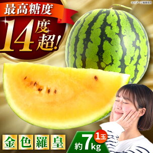 金色羅皇 スイカ 2L以上 1玉 約7kg すいか 野菜 ...