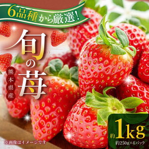 yӂ邳Ɣ[Łzys\zF{Y 1kgi250g×4pcj C`S t[c ʕ F{Y F{y{t[cЁz [ZFJ009]