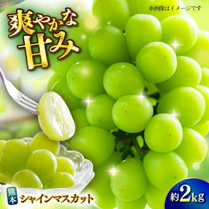 yӂ邳Ɣ[Łzys\zVC}XJbg 2kg }XJbg uhE  t[c ʕ y{t[cЁz [ZFJ010]