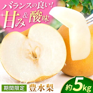 yӂ邳Ɣ[Łzys\zL@5kg  iV t[c ʕ y{t[cЁz [ZFJ013]