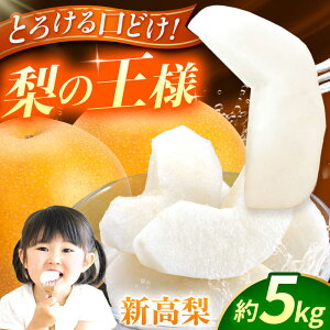 yӂ邳Ɣ[Łzys\zV@5kg  iV t[c ʕ y{t[cЁz [ZFJ017]