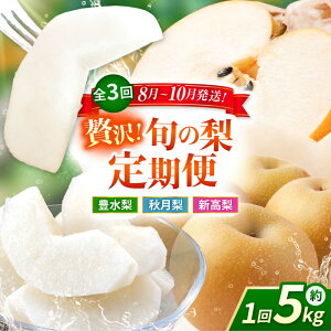 yӂ邳Ɣ[Łzys\zy3ցz  5kg v15kgiLEHEVj  iV t[c ʕ y{t[cЁz [ZFJ024]