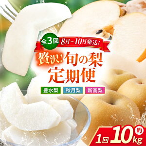 yӂ邳Ɣ[Łzys\zy3ցz  10kg v30kgiLEHEVj  iV t[c ʕ y{t[cЁz [ZFJ025]