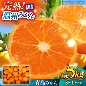 yӂ邳Ɣ[Łzy󂠂z B݂ wx 5kg S`LTCY yʎz[ZFK001]