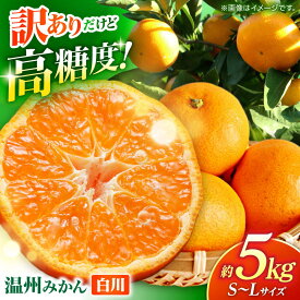【ふるさと納税】【訳あり】 温州みかん 『白川』 約5kg S〜Lサイズ 【奥村果実園】[ZFK003]