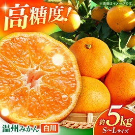 【ふるさと納税】温州みかん 『白川』 約5kg S〜Lサイズ 【奥村果実園】[ZFK007]