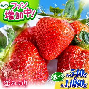 �y�ӂ邳�Ɣ[�Łz�y��s�\��z�I�ׂ�e�ʁI���Δ_���̂�����肢�����@���݂̂� ��540g�`1080g�i1�p�b�N��270g�F6~11���j �y������� ���Δ_���z[ZFO001] ������ �C�`�S � �ʕ� �t���[�c �l�C �F