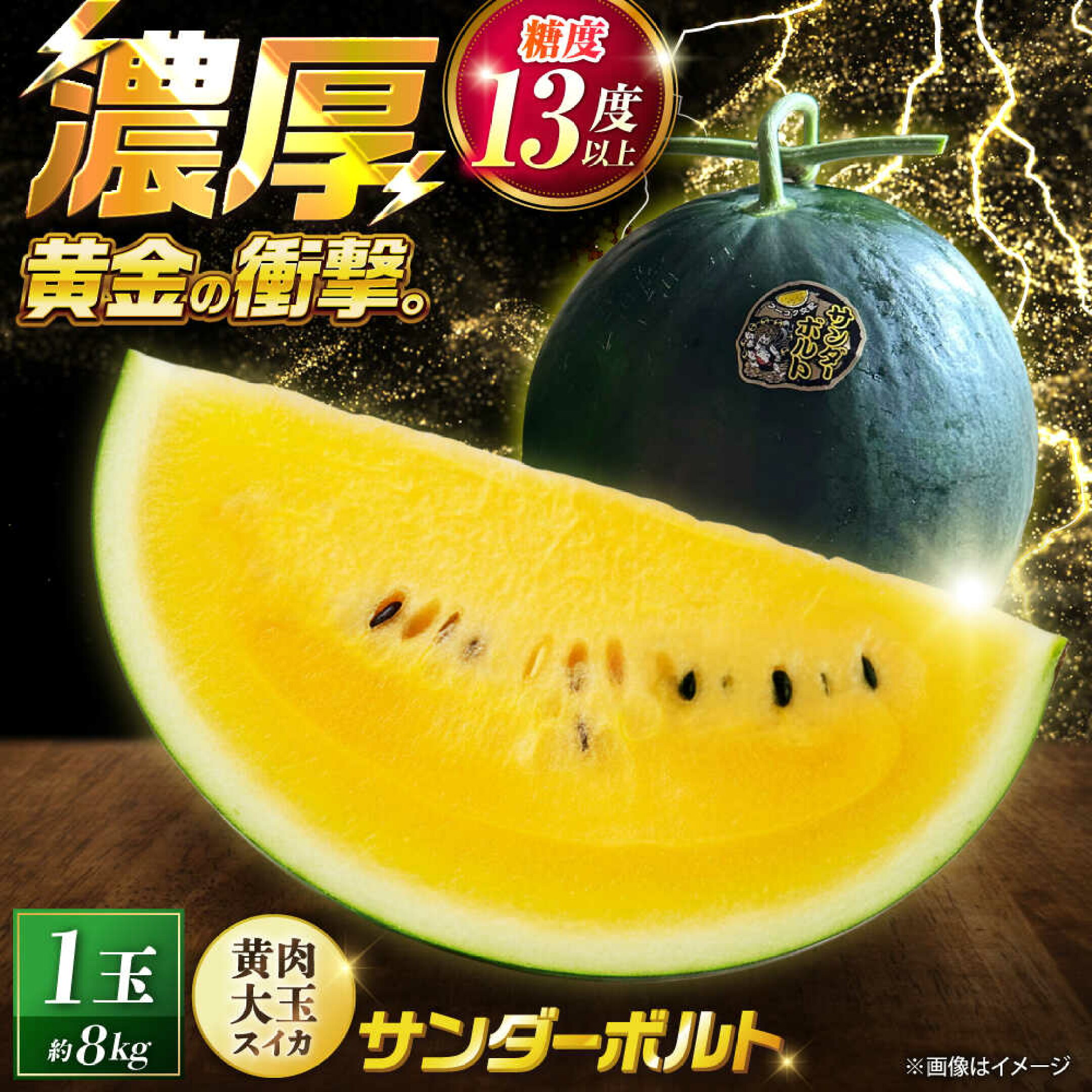 【先行予約】 山鹿の恵み! 匠の育てたサンダーボルト　大玉スイカ(約8kg前後×1玉)【きもと農園】