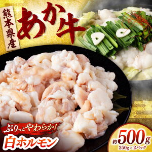 yӂ邳Ɣ[Łz  z 500g (250g×2P) yЁ@t[Yz[ZFR049]