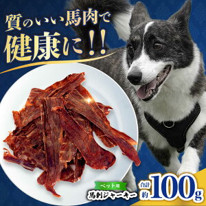 yӂ邳Ɣ[Łzybgp nhW[L[ 100g(50g×2) yЁ@t[Yz[ZFR061]