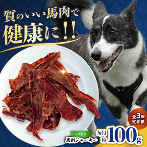 yӂ邳Ɣ[ŁzyS3ցzybgp nhW[L[ 100g(50g×2) yЁ@t[Yz[ZFR062]