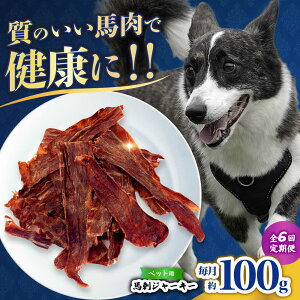 yӂ邳Ɣ[ŁzyS6ցzybgp nhW[L[ 100g(50g×2) yЁ@t[Yz[ZFR063]