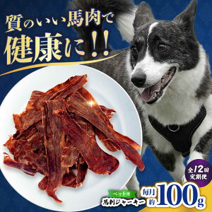 yӂ邳Ɣ[ŁzyS12ցzybgp nhW[L[ 100g(50g×2) yЁ@t[Yz[ZFR064]