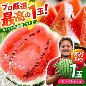 �y�ӂ邳�Ɣ[�Łz�y��s�\��z ��ʃX�C�J�I 2L�`3L�T�C�Y�i��7kg�`9kg�j ���I 1�ʁI �������̖��Y�n �F�{���炨�͂� �y���_���z[ZFV001]