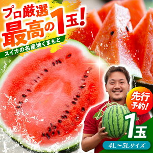 �y�ӂ邳�Ɣ[�Łz�y��s�\��z ��ʃX�C�J�I 4L�`5L�T�C�Y�i��9kg�`11kg�j�@���I 1�ʁI �������̖��Y�n �F�{���炨�͂� �y���_���z[ZFV002]