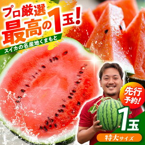 �y�ӂ邳�Ɣ[�Łz�y��s�\��z ��ʃX�C�J�I ����T�C�Y�i��11kg�ȏ�j�@���I 1�ʁI �������̖��Y�n �F�{���炨�͂� �y���_���z[ZFV003]