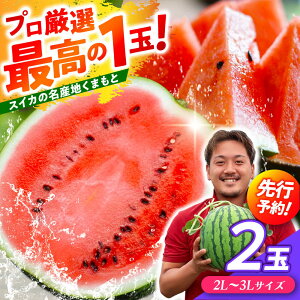 �y�ӂ邳�Ɣ[�Łz�y��s�\��z ���I 2�ʁI ��ʃX�C�J�I2L�`3L�T�C�Y�i1�� ��7kg�`9kg�j�������̖��Y�n �F�{���炨�͂� �y���_���z[ZFV004]