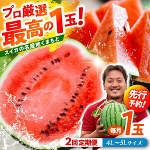 �y�ӂ邳�Ɣ[�Łz�y��s�\��z �y2�����ցz ��ʃX�C�J�I4L�`5L�T�C�Y�i1�� ��9kg�`11kg�j�@2��ފy���߂�I 1�ʓ����2�񂨓͂��I �y���_���z[ZFV007]