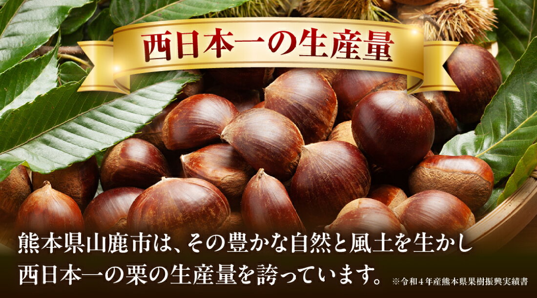 楽天市場 | 熊本県山鹿市 - 栗の生産量 西日本 No1！✨ 山鹿自慢の和栗  
