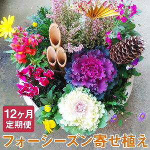 yӂ邳Ɣ[ŁzyցztH[V[Y Ԃ̊񂹐A 3/6/12    A ϗtA A CeA K[f G 