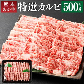 【ふるさと納税】熊本あか牛 特選カルビ 500g 焼き肉 焼肉 やきにく BBQ バーベキュー カルビ あか牛 和牛 牛肉 お肉 精肉 くまもとあか牛 冷凍 熊本県産 熊本県 菊池市 送料無料