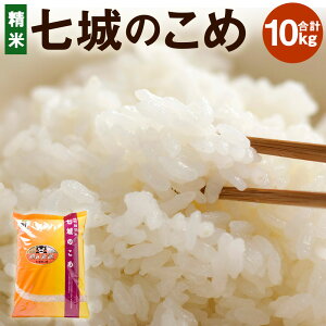 【ふるさと納税】七城のこめ 精米 合計10kg 5kg×2袋 ヒノヒカリ ひのひかり《30日以内に出荷予定(土日祝を除く)》 お米 米 白米 九州産 熊本県産 送料無料