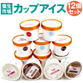 【ふるさと納税】カップアイス 12個セット【養生市場】ミルク チョコ いちご ラムレーズン 110ml 各3個 4種類 アイス デザート スイーツ おやつ 冷菓 セット 詰め合わせ 国産 九州産 熊本県産 菊池市 冷凍 送料無料