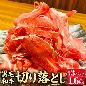 【ふるさと納税】黒毛和牛 切り落とし 合計約1.6kg 約500g×2パック 約600g×1パック 肉 お肉 牛肉 和牛 国産牛 切落し 小分け 国産 九州産 熊本県産 冷凍 送料無料