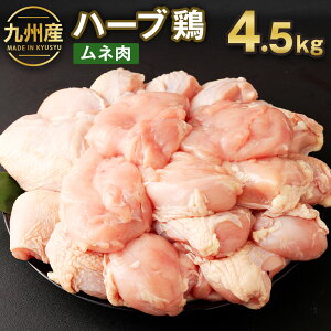 yӂ邳Ɣ[ŁzBY n[u{ l 4.5kg { ނ˓  炠 eq `LJ[ ϕ T_`L Ⓚ Y s30ȓɏoח\(yj)t Ac