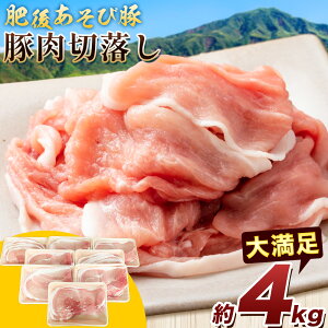 yӂ邳Ɣ[Łz゠ѓؐؗ Iׂe 2.4kg 4kg Ђ܉Y Ԃ u^ ؓ  uh ؂藎Ƃ Y BY F{Y ersY Ⓚ s90ȓɏo