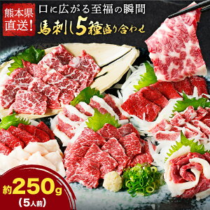 yӂ邳Ɣ[Łznh 5 荇킹 Zbg v250g 5lO F{ Ԑg ~ t^GS oq R[l Foodyfss30ȓɏoח\(yj)tF{ ers nh n 