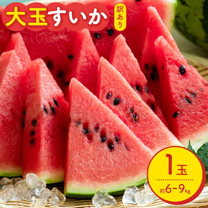 yӂ邳Ɣ[Łzys\zXCJ 󂠂 ʂ 1  6kg ` 9kg L ` 3L  Foodyfs Hʂ s2026N5{-7{oׁt F{ ers t[c ʕ XCJ 