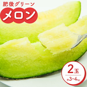 yӂ邳Ɣ[Łzys\z  O[ 2  3kg ` 4kg Foodyfs Hʂ s2026N5{-7{oׁt F{ ers t[c ʕ  BY ① 