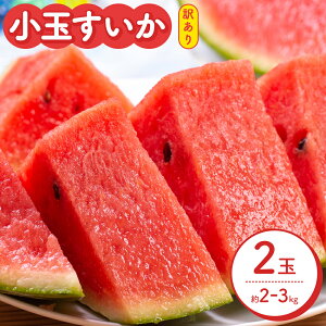 yӂ邳Ɣ[Łzys\zXCJ 󂠂 ʂ 2  2kg ` 3kg M ` 3L  Foodyfs Hʂ s2026N5{-7{oׁt F{ ers t[c ʕ XCJ 