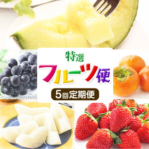 yӂ邳Ɣ[Łzy֌v5zIt[c(EԂǂEEH`E) yh[z ersY F{Y BY ʕ O[ A[X Ԃǂ  `