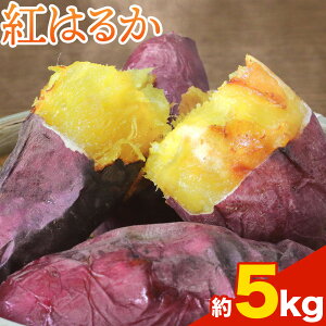 yӂ邳Ɣ[Łz܂ g͂邩 Iׂe 3.5kg(5-25) 5kg(9-38) GGYpbP[Ws2025N11{-2026N4{oׁtF{ ers ܂ g͂邩    