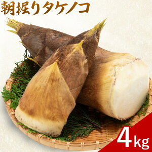 yӂ邳Ɣ[Łz @^PmR Iׂe 2kg(2-5{) 4kg(3-9{) GGYpbP[Ws2026N4{-4{oׁtF{ ers ̂ y ܖڎ `WI[X 