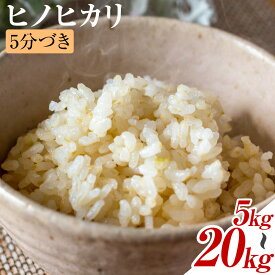 【ふるさと納税】米 ヒノヒカリ 5分づき 5kg 10kg 20kg 選べる 内容量 1袋 5kg 合同会社くまもとごはん 《30日以内に出荷予定(土日祝除く)》 熊本県 菊池市 お米 分づき米 九州産 熊本県産 白米 無洗米 ひのひかり 送料無料
