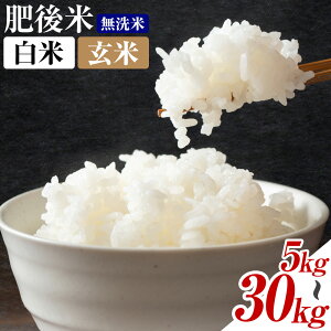 yӂ邳Ɣ[ŁzF{Y     5kg/10kg/20kg/30kg  Iׂe 15kg   ߘa6NY BY F{Y y30ȓɏoח\iyjjz 
