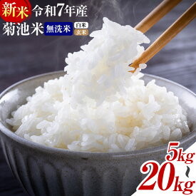 【ふるさと納税】新米 熊本県産 菊池米 無洗米 白米 玄米 5kg/10kg/20kg/30kg 定期便 選べる内容量 1袋5kg 米 お米 九州産 熊本県産 送料無料《内容量をお選びください》玄米 無洗米 白米 米